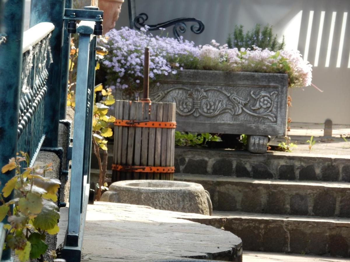 Garni Hotel Terano Marburgo Esterno foto